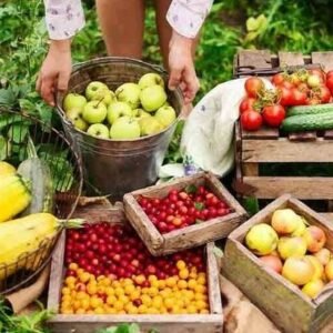 contacto frutas Granada